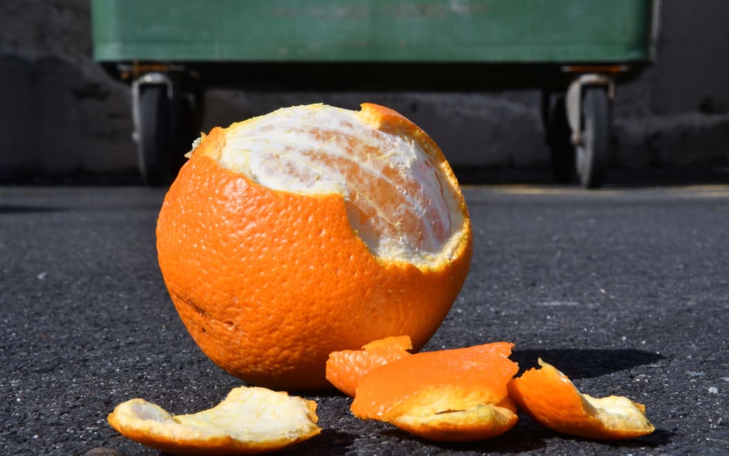 Rotorua Lakes Council will begin organic kerbside collection in 2026.