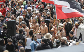 The  Hīkoi mō te Tiriti at Parliament grounds.