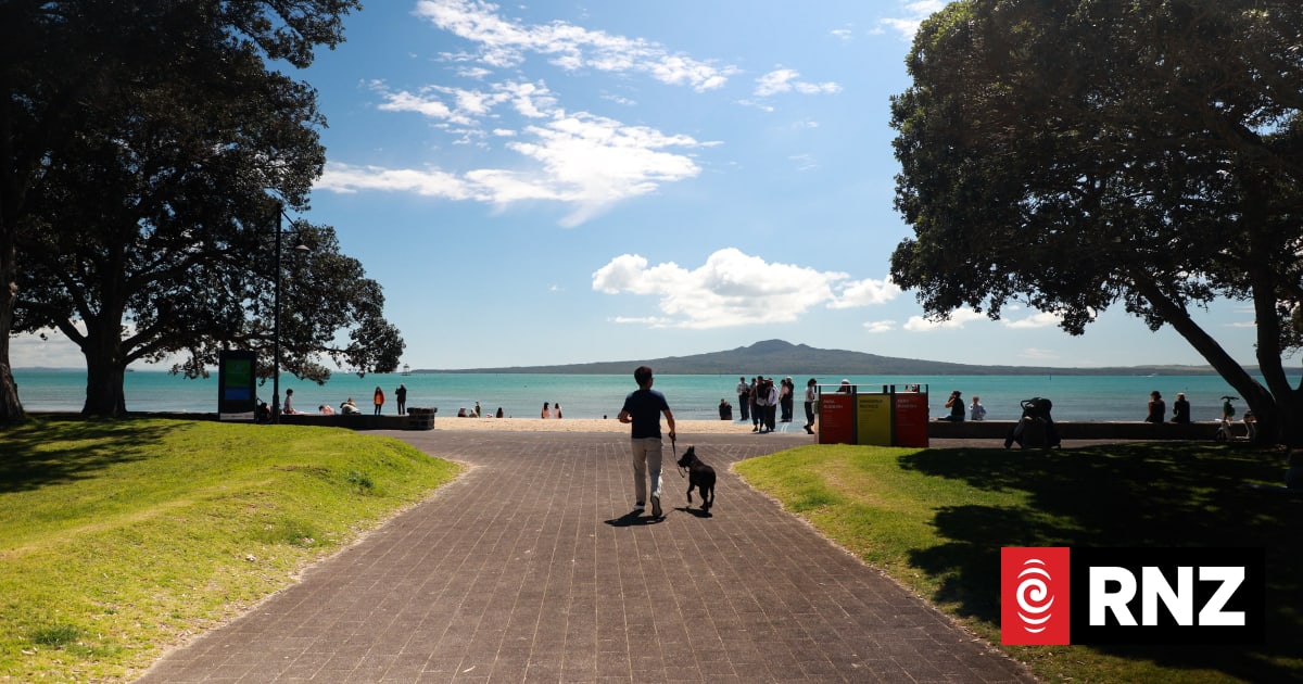 Can National reclaim Tāmaki electorate after 2023 upset?