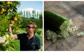 Matt Carter from Hill Road Orchard, known for it's orange juice and finger limes.