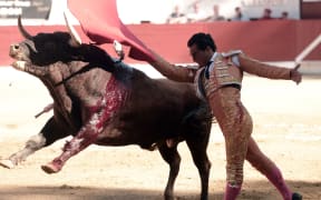 Spanish matador Ivan Fandino in the ring before he was fatally gored by the bull.
