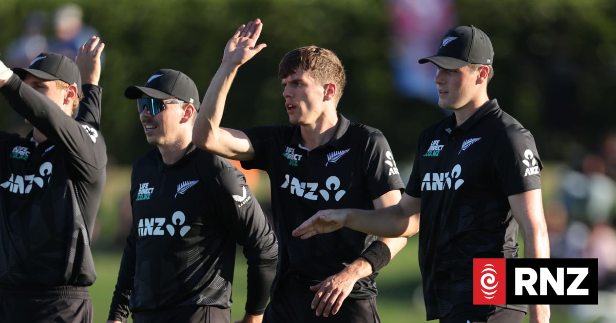 Black Caps end summer with clean sweep | RNZ