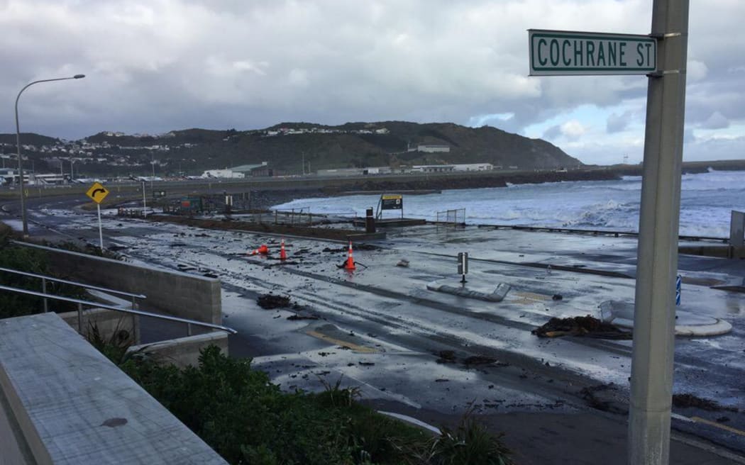 Wellington south coast