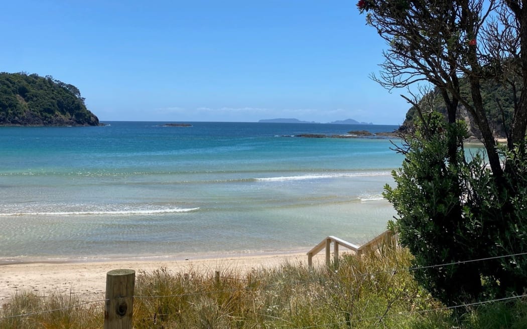 A beach in Northland, on a gloriously sunny day, on 20 December, 2024.