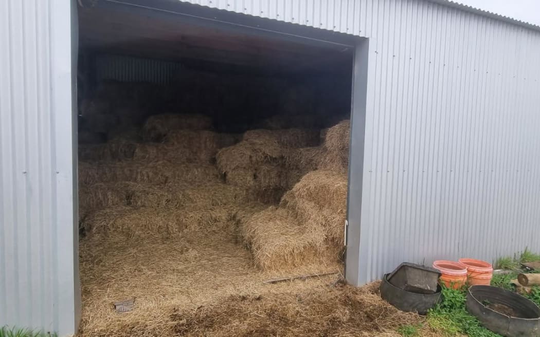 Trudy Keegan's half empty hay barn, about 600 bales have been stolen