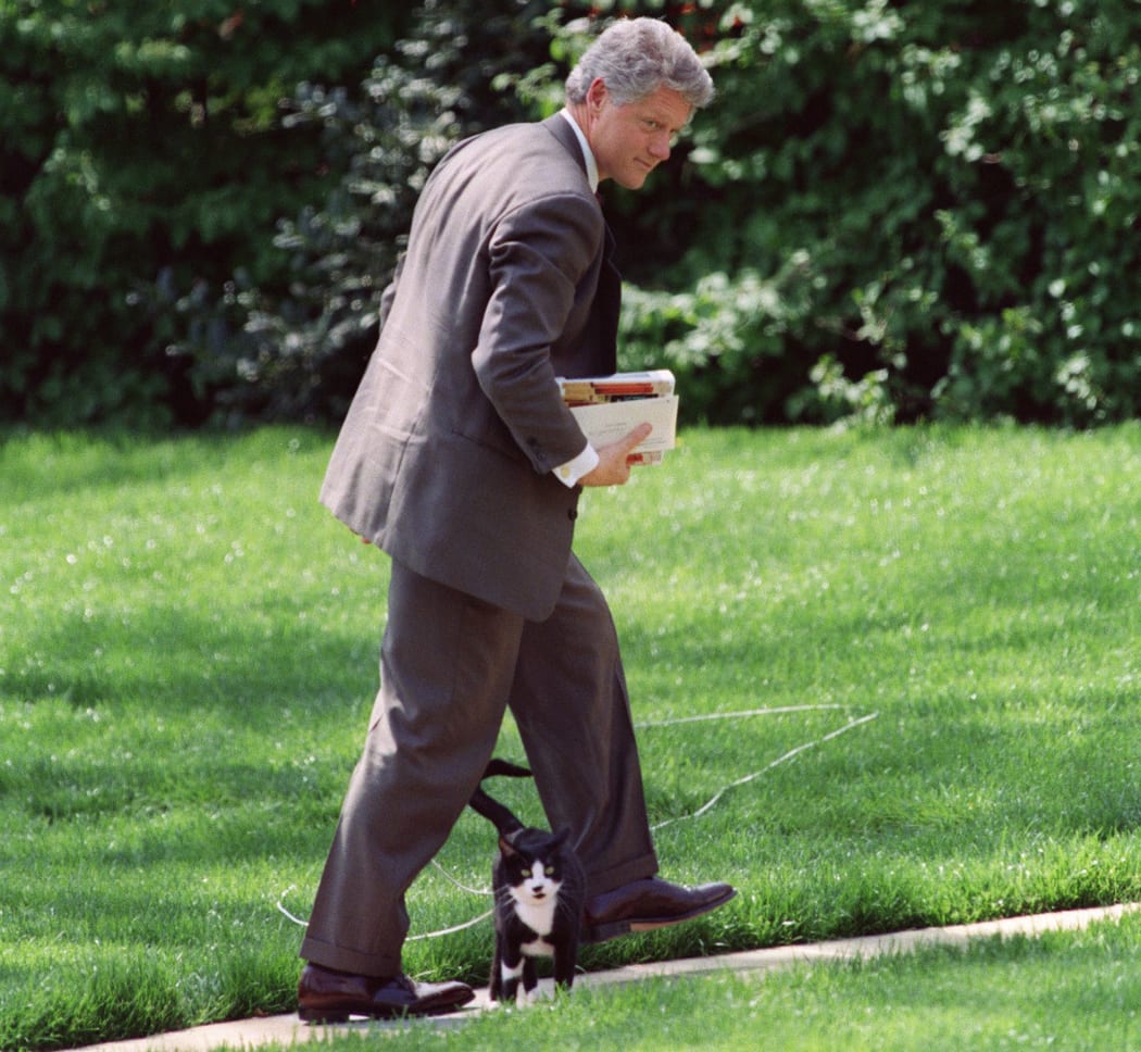 US President Bill Clinton steps over the family pet cat Socks as he returns to the White House in Washington 14 April 1994.