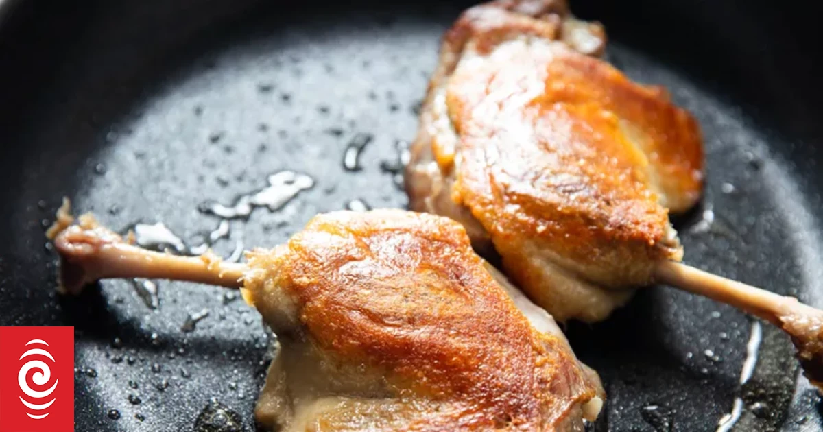 All hands on duck: eight recipes from the RNZ collection - Vimarsana News