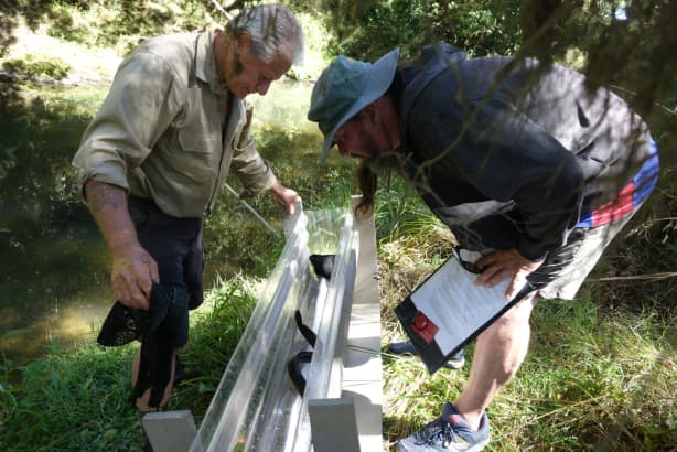 Millan Ruka (left) and Nathan Warner inspect the meagre catch from a net on the Karukaru stream.