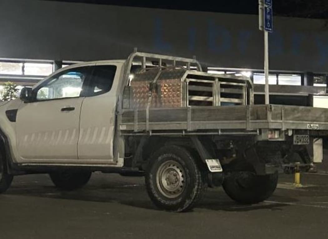 Matthew was travelling in a white two-door Ford Ranger, with a tray and checker-plate dog boxes, with registration JBW332.