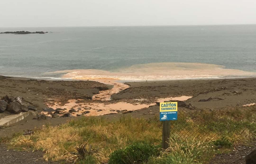 Water at Houghton Bay in Wellington which contains the toxic substances.
