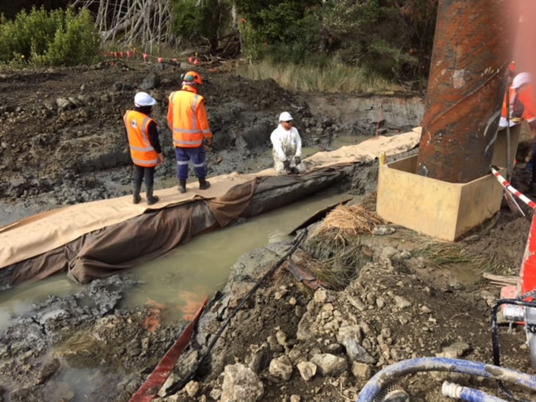 The waka is thought to be 10 metres long and is still connected to the trunk of a kauri tree.