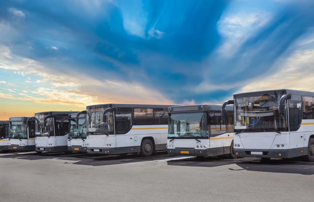 A fleet of tourist buses