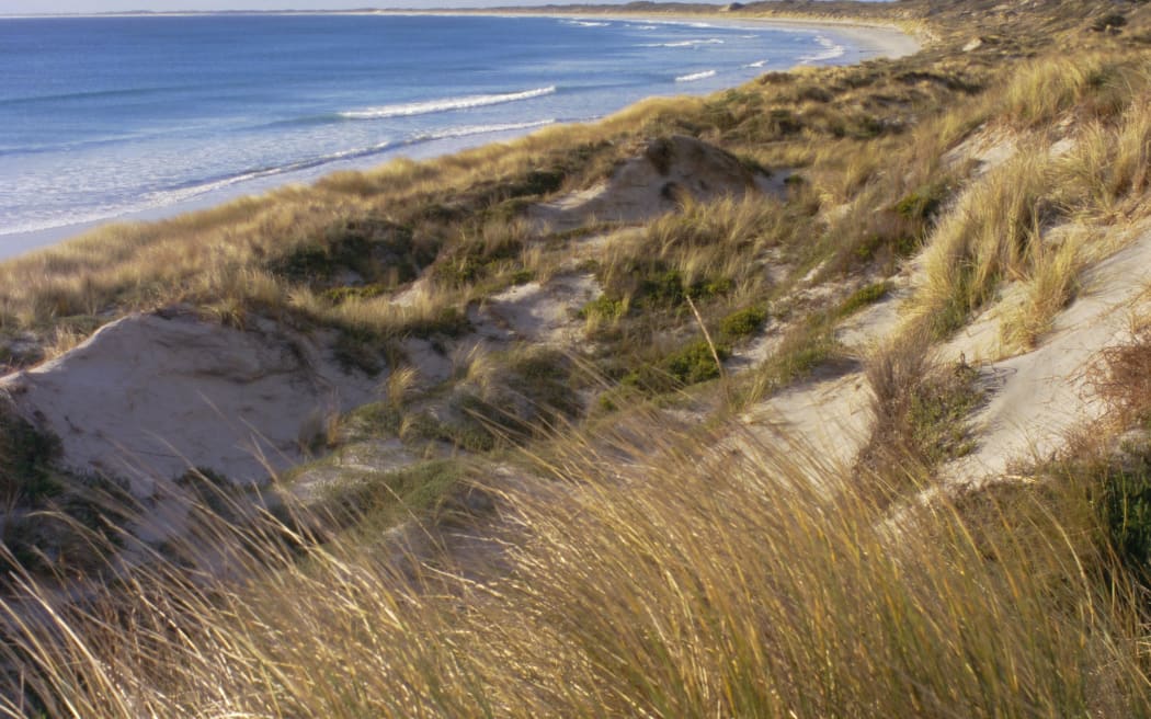 Northern beach, Chatham Islands