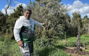 Roddy Hapati Pihama stands at the dumping site in the Far North.