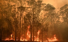 A bushfire burns in the town of Moruya, south of Batemans Bay, in New South Wales on January 4, 2020.