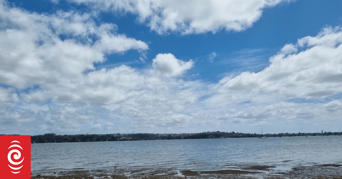 Auckland beachgoers warned of sewage overflows