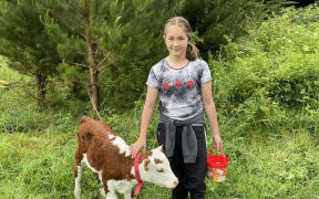 Blaze - CHATHAM ISLANDERS