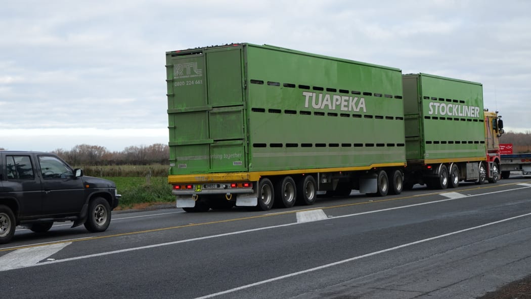 A stock truck used to transport cattle.