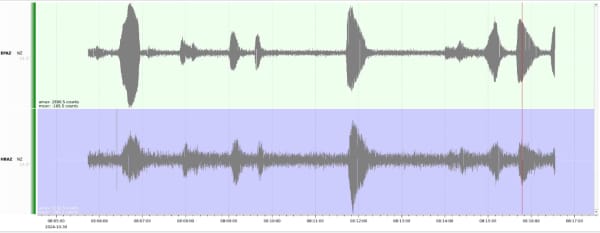 Seismometer readings from Eden Park and Herne Bay during the Travis Scott concert.