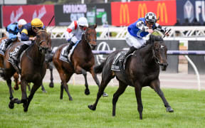 Gold Trip (FR) ridden by Mark Zahra wins the Lexus Melbourne Cup at Flemington Racecourse on November 01, 2022 in Flemington, Australia.