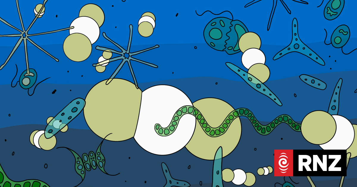 Marine carbon dioxide removal is a big idea - with big hurdles