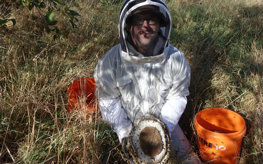 Bob Brown with a wasp nest he has dug up.