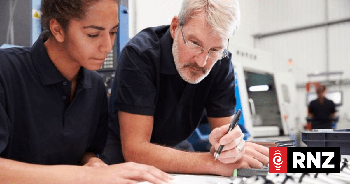 Competition for tech jobs predicted to ramp up | RNZ