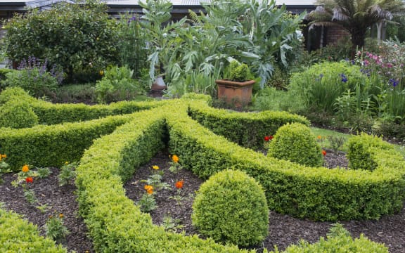 Flourishing garden in South Taranaki