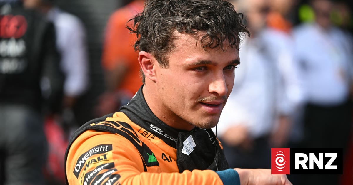 McLaren's Lando Norris reacts after qualifying top for the Formula One Hungarian Grand Prix, at the Hungaroring racetrack