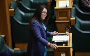 National MP Melissa Lee 21 Feb 2018