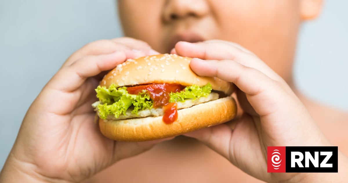 Dads' junk food diet could have 'long-reaching effects' on offspring - study