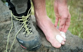 Merino wool blister protecter