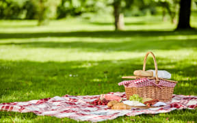 Delicious picnic spread with fresh fruit, bread, spicy sausage and cheese spread out on a red and white checkered cloth in a lush spring park