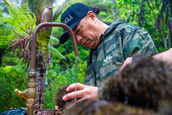 Chef Kealoha Domingo prepares kina.