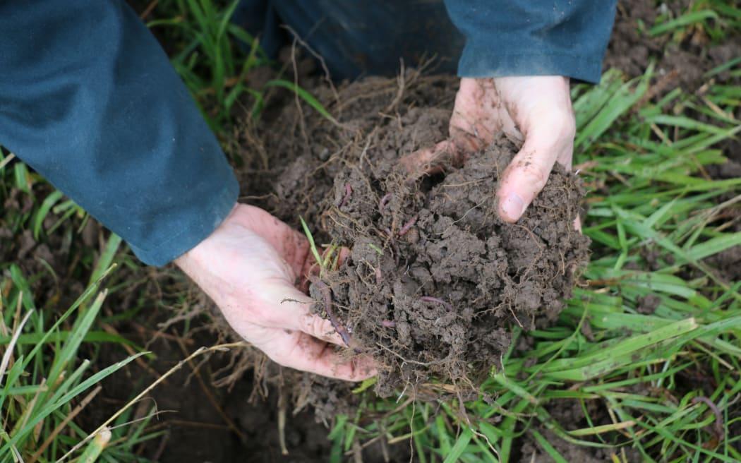 Regenerative farming in South Otago