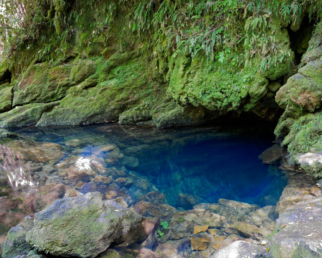 The blue pool where the Riuwaka River emerges from Takaka Hill.