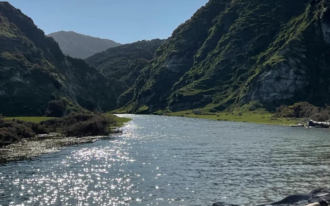 Te Kautuku beef station on the far East Coast, Tairāwhiti, is being used as a test case for a native habitat regeneration project by startup Toha Network, allowing supporters to purchase Mahi Tokens to fund the environmental work.