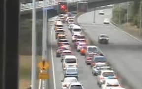 A line of cars trying to get into Wellington.
