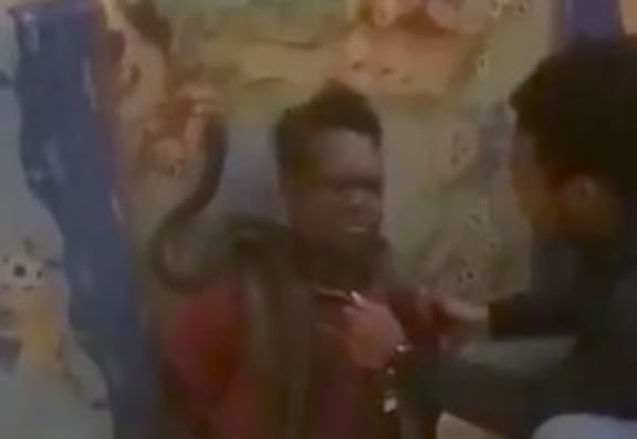 A snake being used to interrogate a prisoner in Papua
