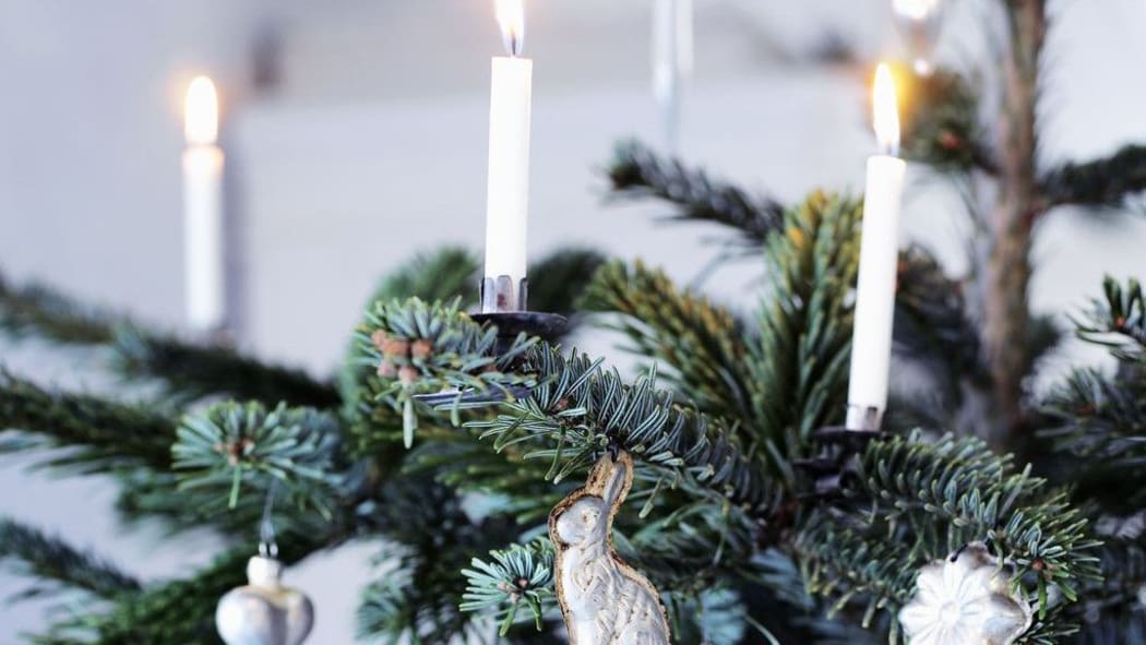 Denmark Christmas Tree