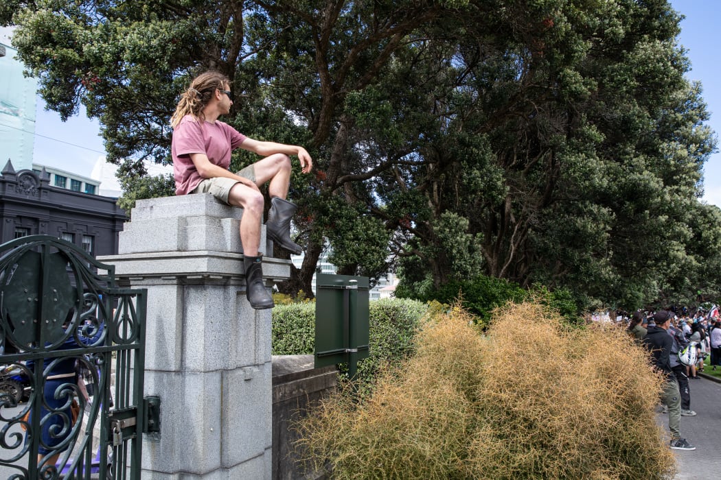 In any large protest at Parliament there is always someone who realises that the very best viewpoint is to be had by sitting on the fence, so to speak.