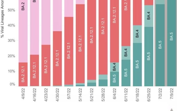 Recent data from the US Centers for Disease Control and Prevention show the rapid rise of the BA.5 variant and its replacement of other Omicron variants.