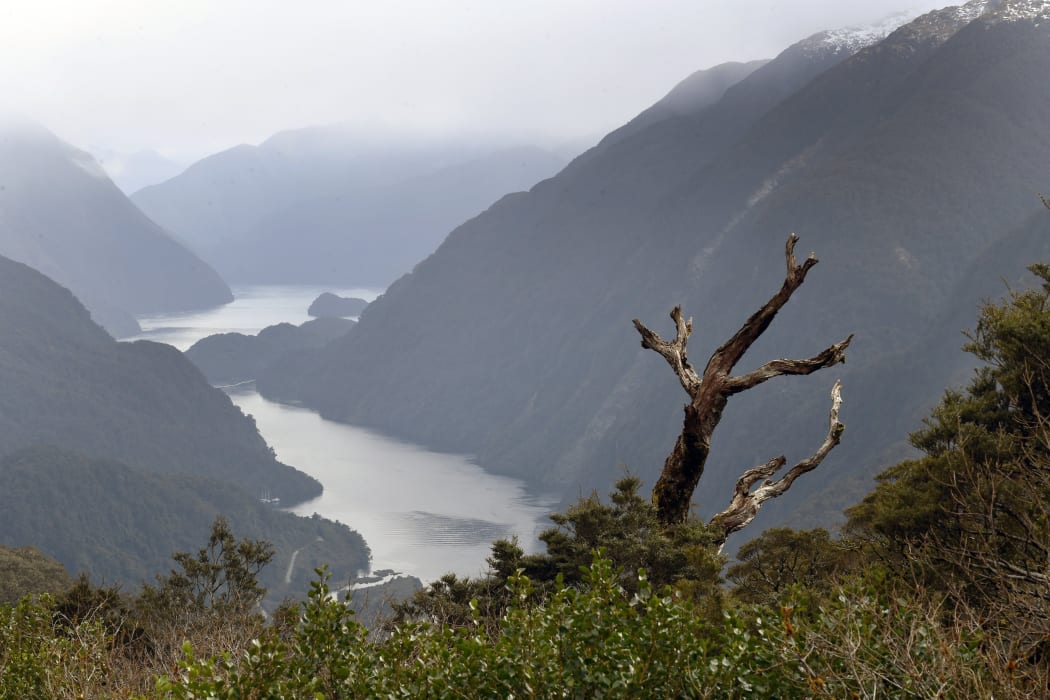 Doubtful Sound, Fiordland. A governance group fears for the future of certain fish stocks in the region.