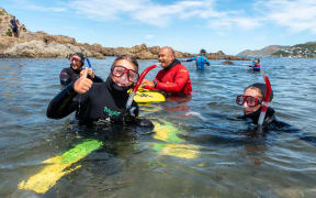 Mountain To Seas Wellington snorkelling programme