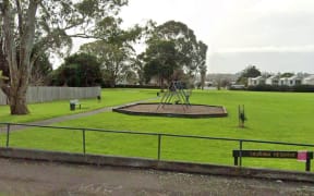 Taurima Reserve in Point England.