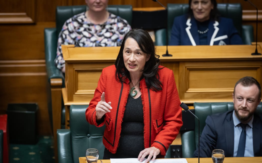 Labour MP Marja Lubeck gives a valedictory address prior to her retirement as an MP.