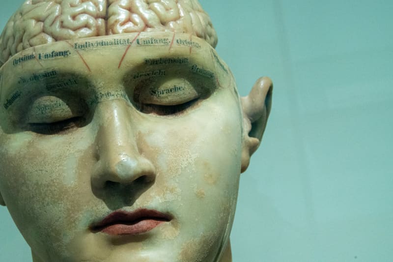 A marble carving of a closed-eyed face with its brain visible.
