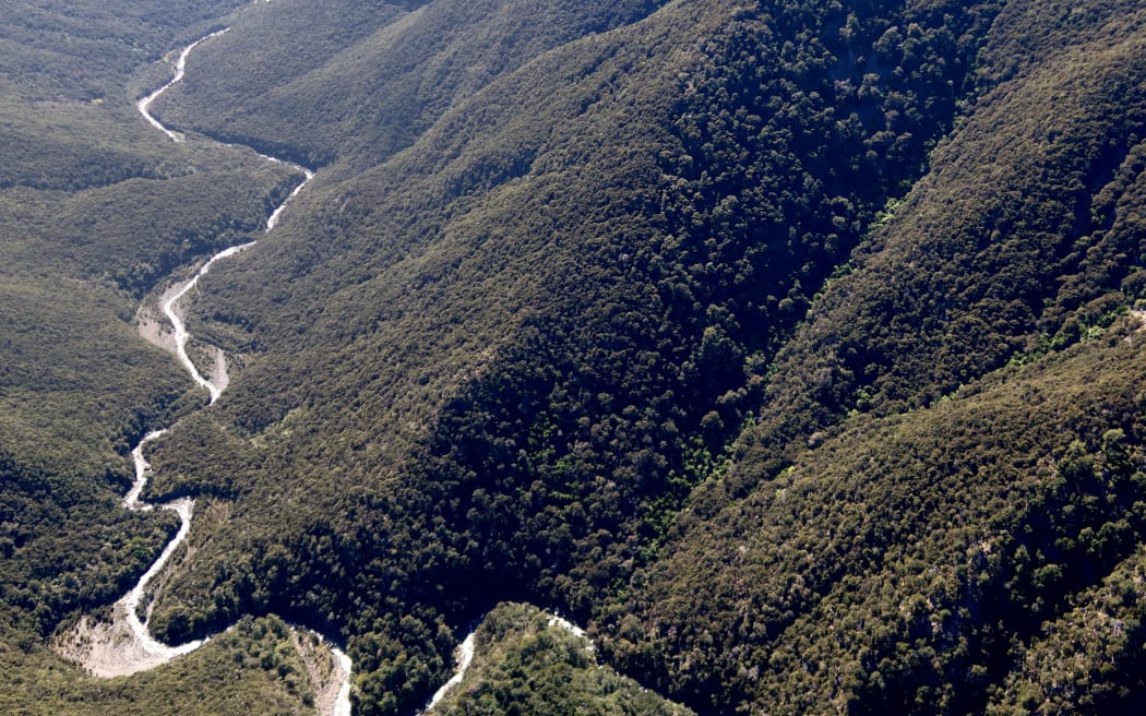 The Black Birch Stream, which provides drinking water to Seddon, has one of the highest quality waters in Marlborough.