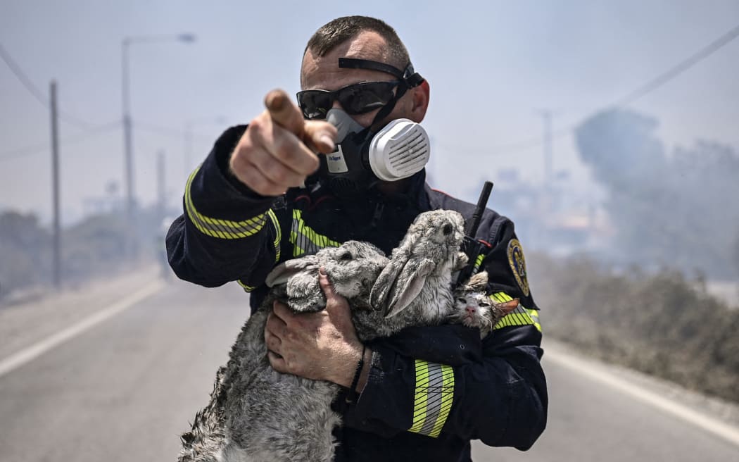 A fireman gestures and holds a cat and two rabbits after rescuing them from a fire between the villages of Kiotari and Gennadi, on the Greek island of Rhodes on July 24, 2023. Firefighters tackled blazes that erupted in peak tourism season, sparking the country's largest-ever wildfire evacuation -- and leaving flights and holidays cancelled. Tens of thousands of people have already fled blazes on the island of Rhodes, with many frightened tourists scrambling to get home on evacuation flights. (Photo by Spyros BAKALIS / AFP)