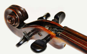 Violin tuning pegs